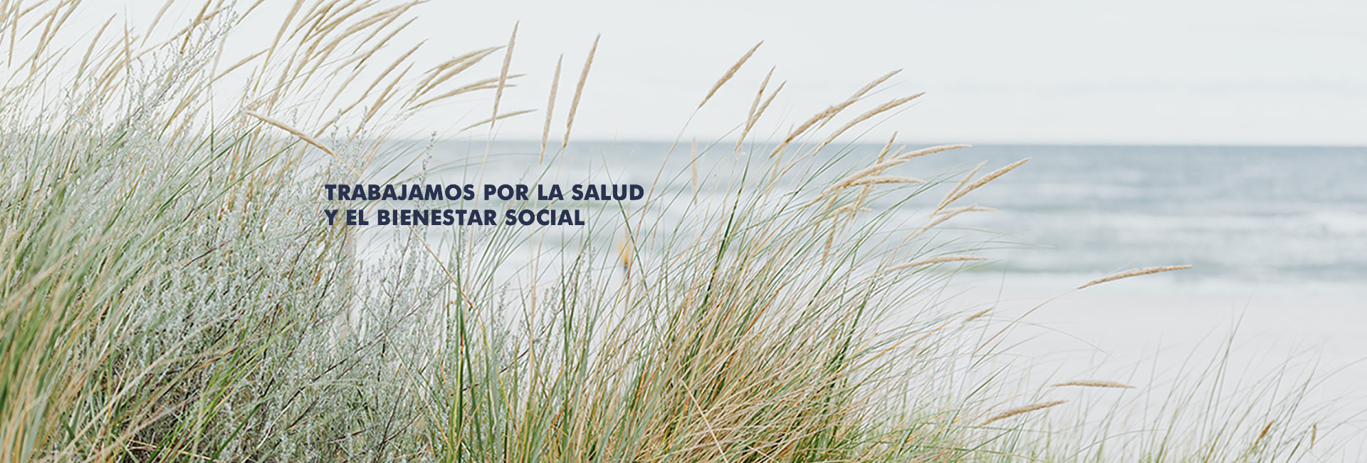 Fundación Cántabria Salud y Bienestar Social