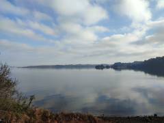 IMG_20220126_104800