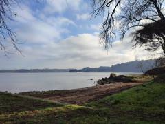 IMG_20220126_105031