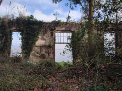 IMG_20220126_105110