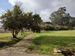 IMG_20220127_120705