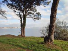IMG_20220126_104728