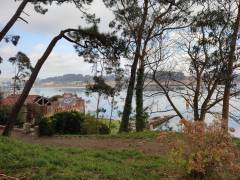 IMG_20220126_103044