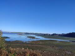 isla7