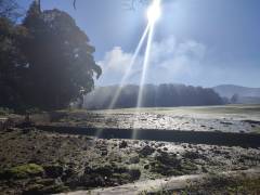 isla21