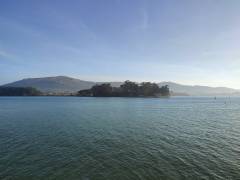 IMG_20220228_172822