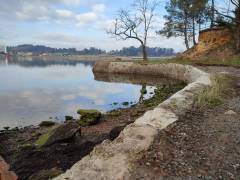 IMG_20220126_103819